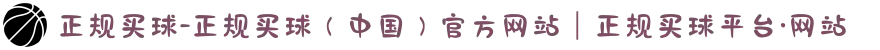 正规买球-正规买球（中国）官方网站｜正规买球平台·网站